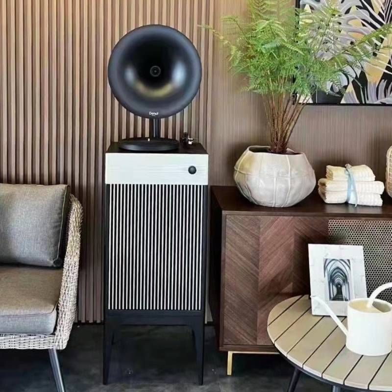 Fennessy Donut i5 Quicksand All in one Turntable System with Bluetooth (4)