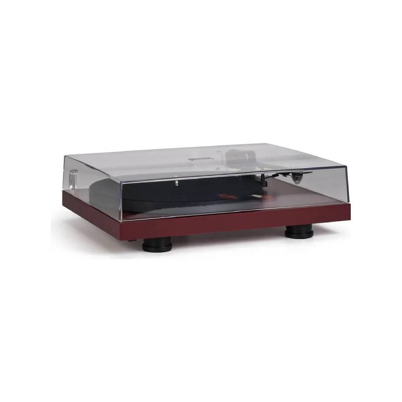 Debut Evo 2 (Satin Wine Red) (4)