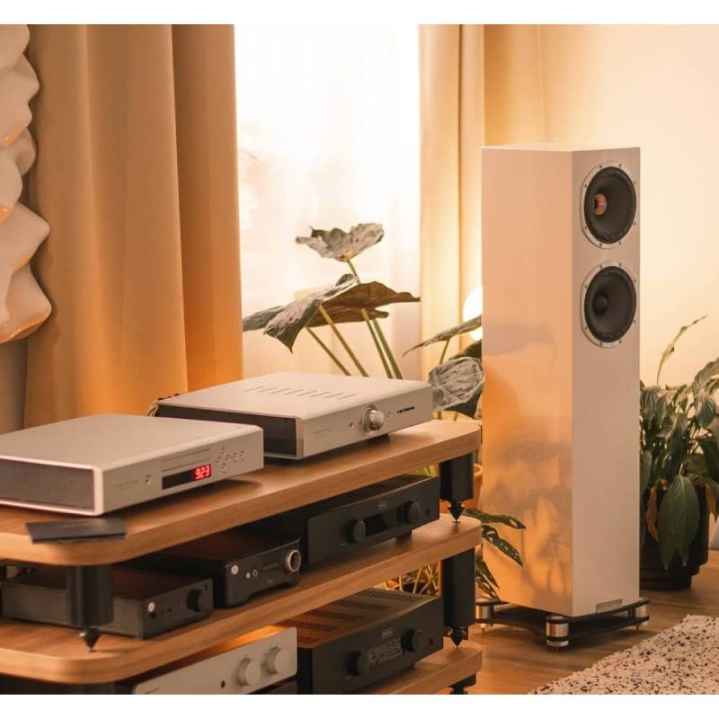 Fyne Audio F501SP Floorstanding Speaker (4)