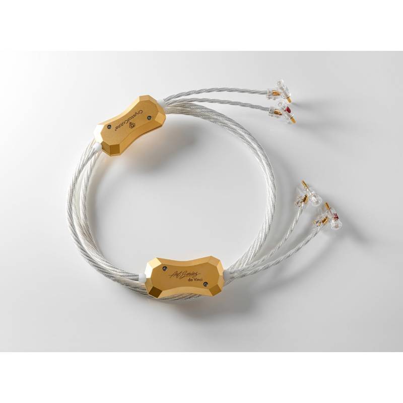 Crystal Cable Da Vinci Banana or Spade Speaker Cable (1)