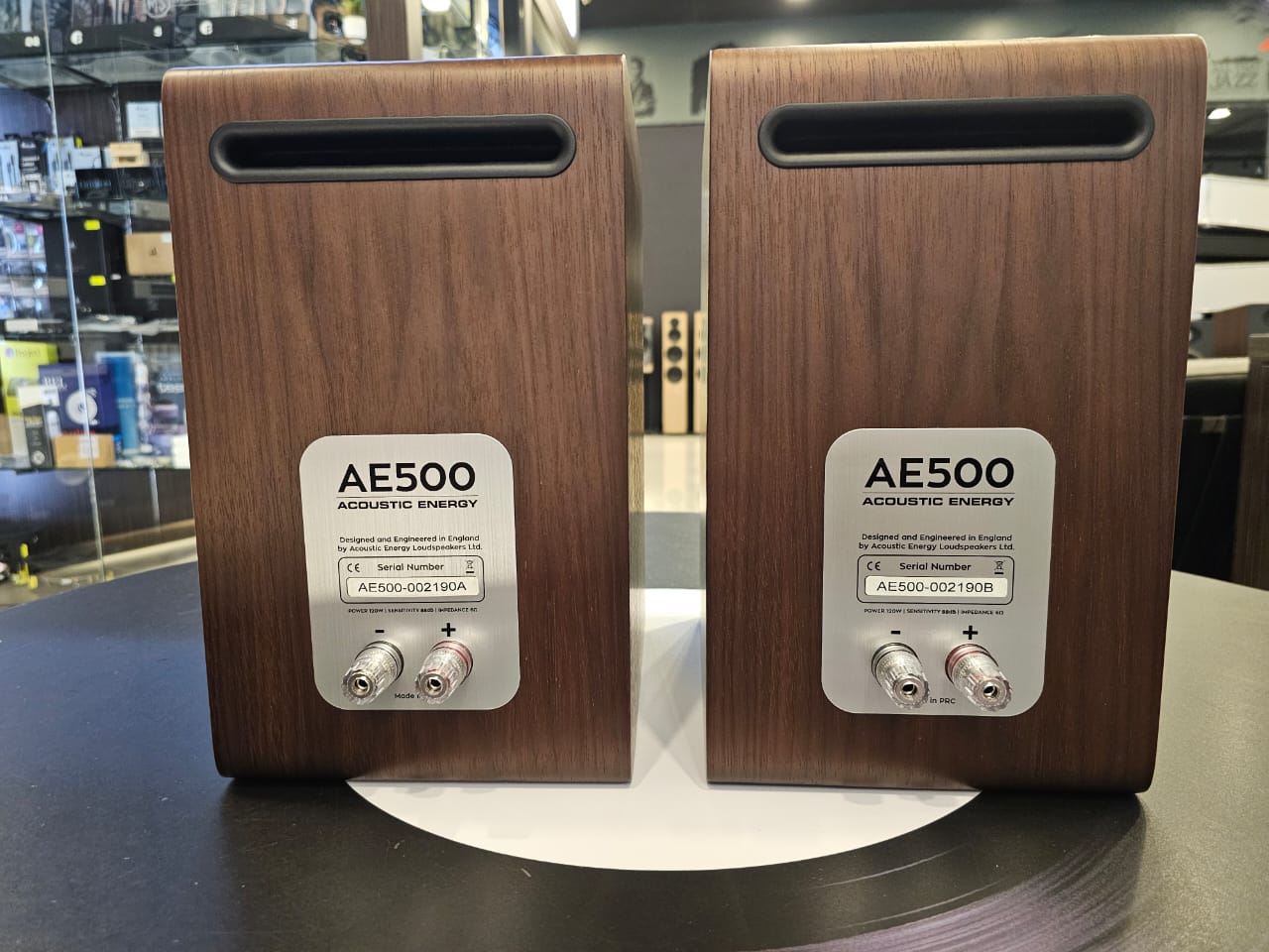 Acosutic Energy AE500 Bookshelf Speaker