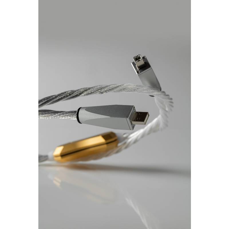 Crystal Cable Van Gogh USB Cable (4)